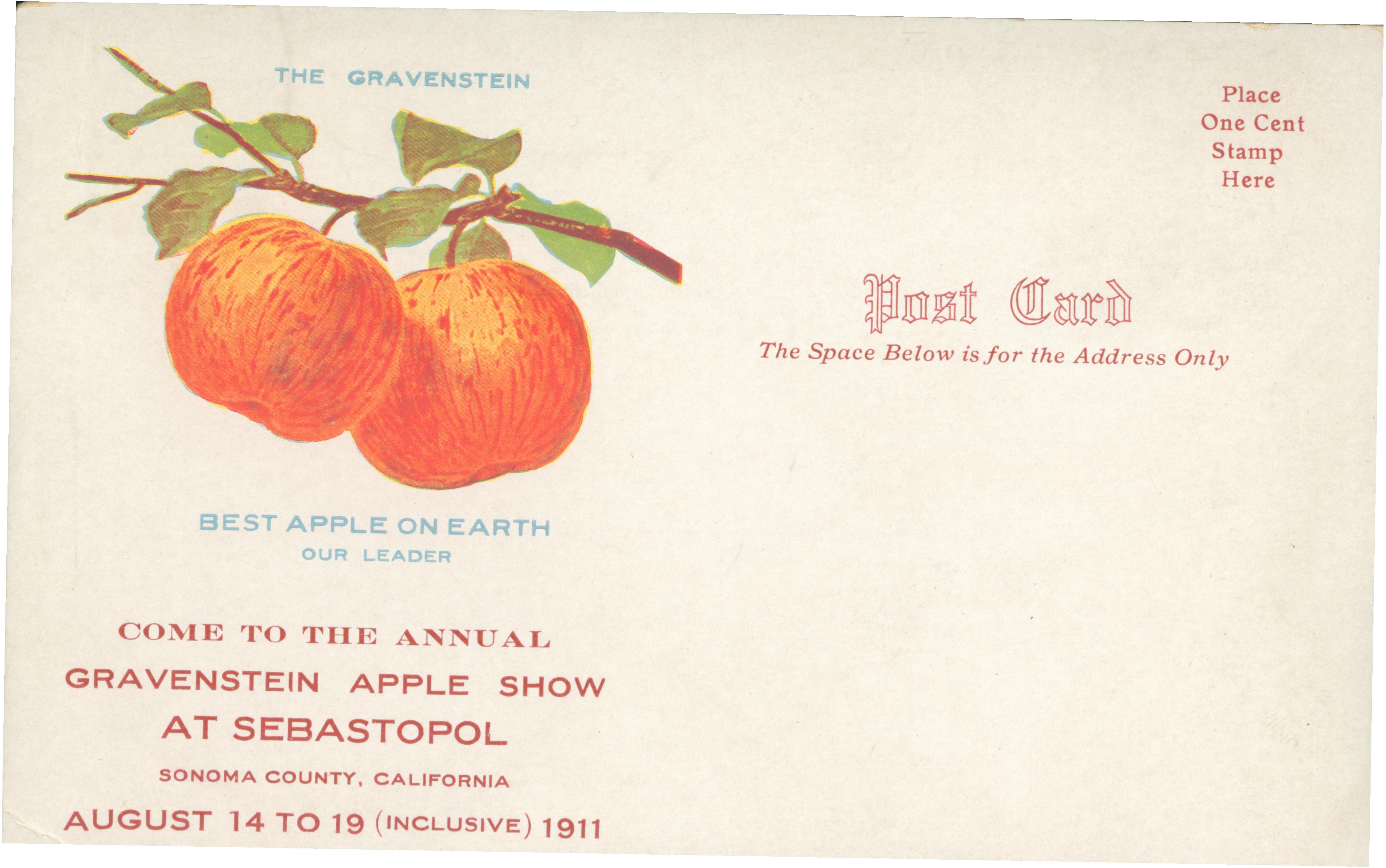 Shows a picture of two apples hanging from a tree branch to the left of the address area